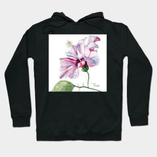 Pink Hibiscus Flower in watercolor Hoodie